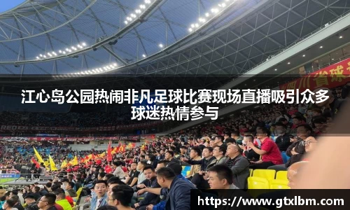 江心岛公园热闹非凡足球比赛现场直播吸引众多球迷热情参与